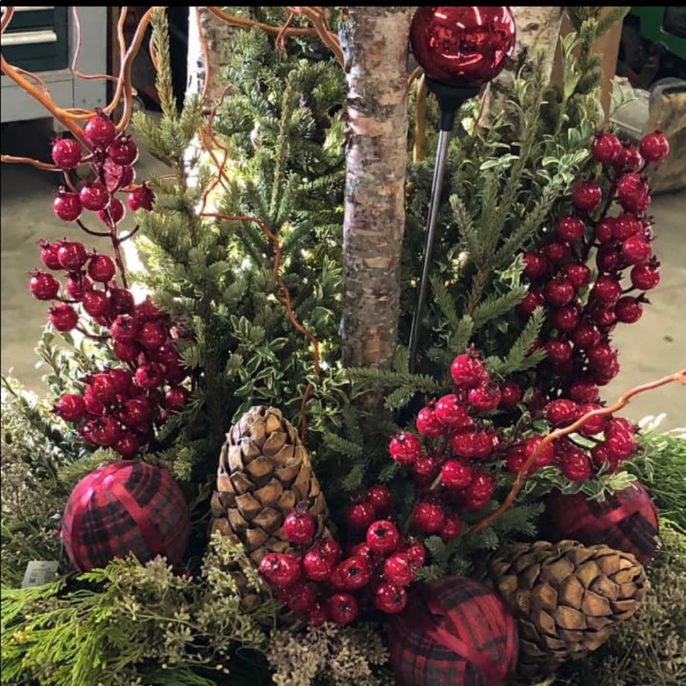 Meet your Posher, Kristine